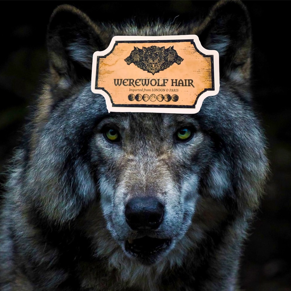 Werewolf Hair Witchy Sorceress Supreme Potion B0ttle Label Sticker